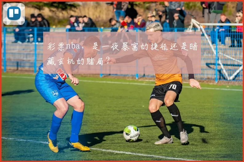 彩票nba,是一夜暴富的捷径还是暗藏玄机的赌局?