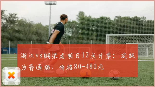浙江vs铜梁龙明日12点开票：定级为普通场，价格80-480元