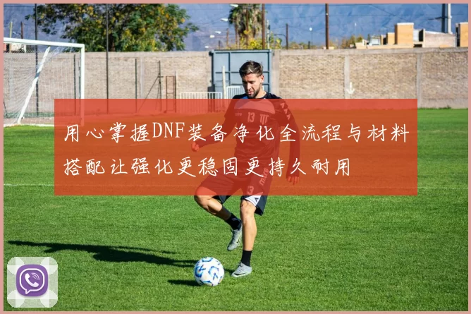 用心掌握DNF装备净化全流程与材料搭配让强化更稳固更持久耐用