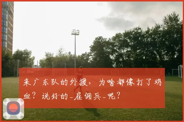 来广东队的外援，为啥都像打了鸡血？说好的_雇佣兵_呢？