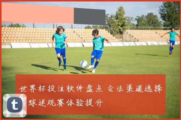 世界杯投注软件盘点 合法渠道选择与球迷观赛体验提升