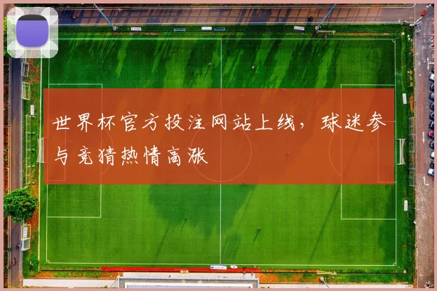 世界杯官方投注网站上线，球迷参与竞猜热情高涨