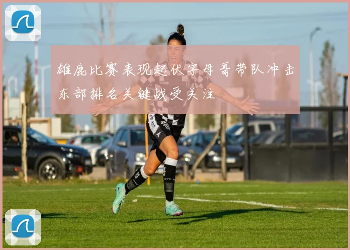 雄鹿比赛表现起伏字母哥带队冲击东部排名关键战受关注